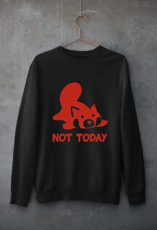 Rocket Raccoon Lazy Not Today Unisex Sweatshirt for Men/Women Hoodie with Hem Applique Textured Unique