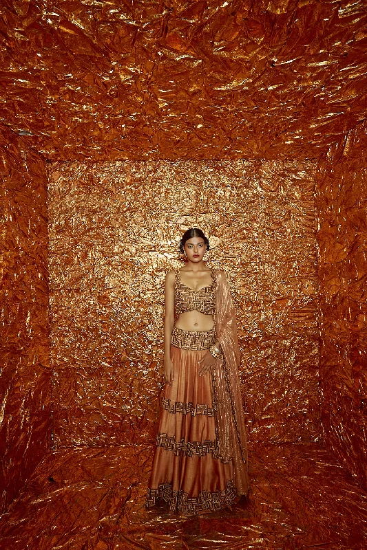 Tan Poth Hand-Embroidered Blouse with Lehenga and Dupatta Polished Work Blouse