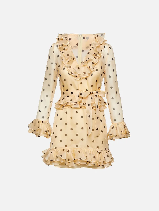 Polka Dot Organza Dress